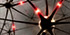Neurons