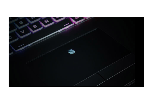 Integrated Biometric Discrete Area Fingerprint Reader Underneath Glass Touchpad