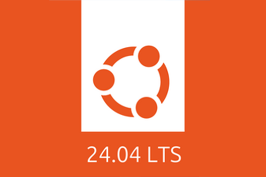Ubuntu 24.04 LTS (Linux OS)								
